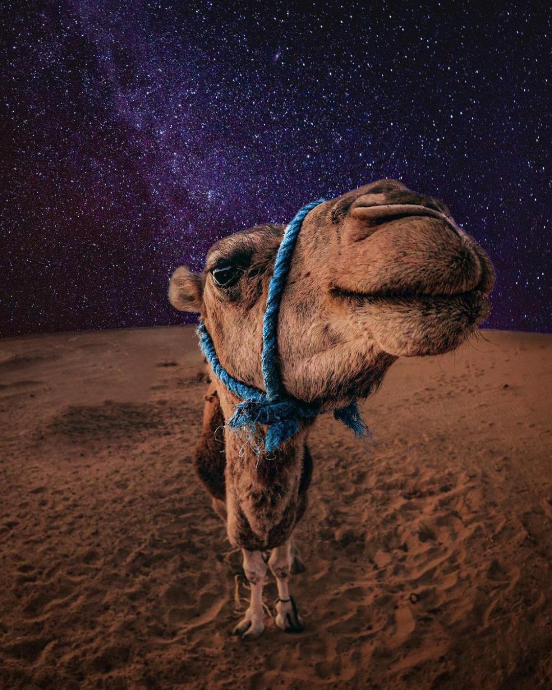 Merzouga Luxury Magic Nights Exteriér fotografie